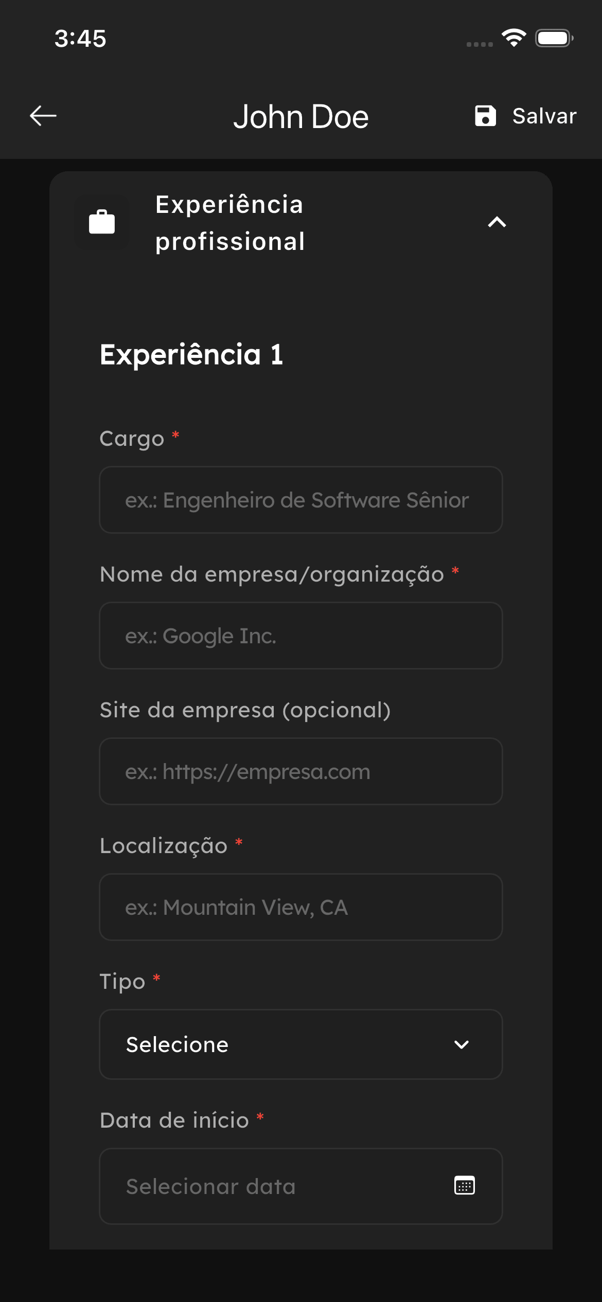 Experience section
