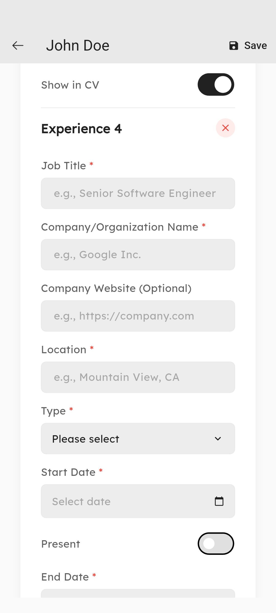 Experience section